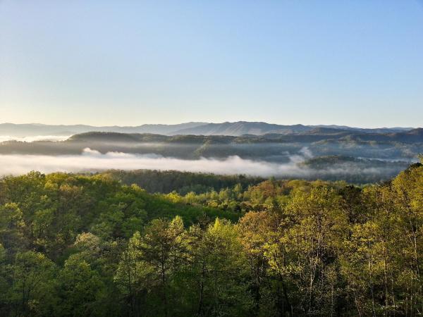 Bild 1 von 7: Great Smoky Mountains - Der Wald der Schwarzbären