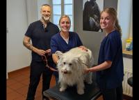 Praxis Dr. Dreesen - Ein Hof für Tiere