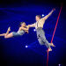 43. Weltfestival des Zirkus von Morgen