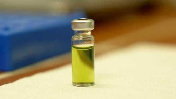 Bild 1 von 22: Im Bild: Cannabis Ampulle.