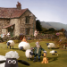 Shaun das Schaf