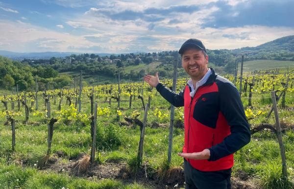 Bild 1 von 1: Vor den Toren Wiens wird Wein angebaut. Johannes Zenglein wandert durch die Weinberge und findet heraus, ob die Unterkünfte etwas außerhalb der Stadt günstiger sind als im Zentrum.