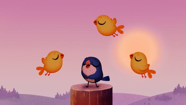 Bild 1 von 1: Die kleine Schwalbe Martin wurde von ihrem Schwarm getrennt und bleibt solange im Camp, bis die Campleiterin Martins Schwarm gefunden hat.