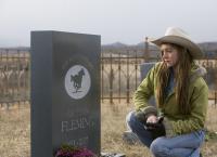 Heartland - Paradies für Pferde