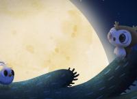 Odo - Kleine Eule ganz groß