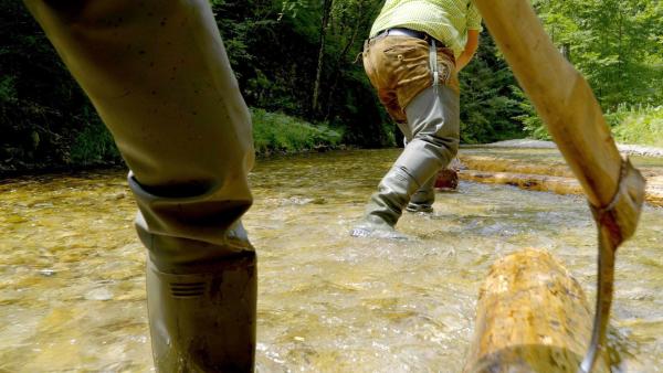 Bild 1 von 15: Wasser - Das klare Gold der Berge