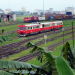 Mit dem Zug durch Kamerun