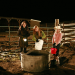 Heartland - Paradies für Pferde