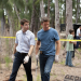 The Glades