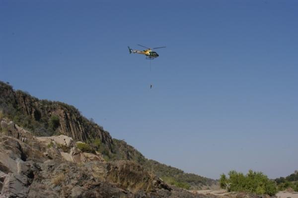 Bild 1 von 3: Per Helikopter wird ein Krokodil zur Untersuchung ins Labor gebracht.