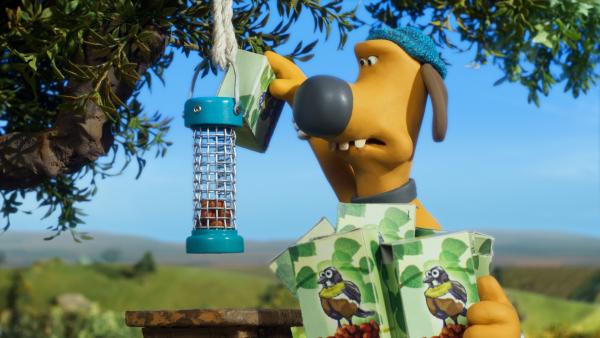 Bild 1 von 7: Immer sind die Nüsse weg. So schnell kann Bitzer den Vorrat im Vogelhäuschen gar nicht nachfüllen.