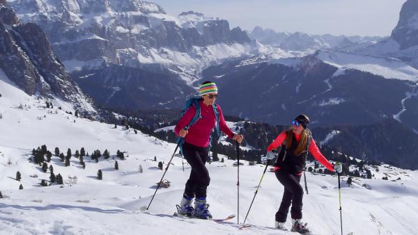 Bild 1 von 2: .