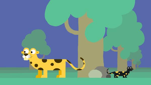 Bild 1 von 7: Der Feuersalamander und der Leopard