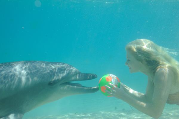 Bild 1 von 2: Rikki (Cariba Heine) tollt mit dem Delphin Ronnie im Meerespark herum. Sie braucht etwas Abstand zu Zane.