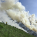 Waldbrände: Leben mit dem Feuer