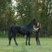 Flicka 3 - Beste Freunde