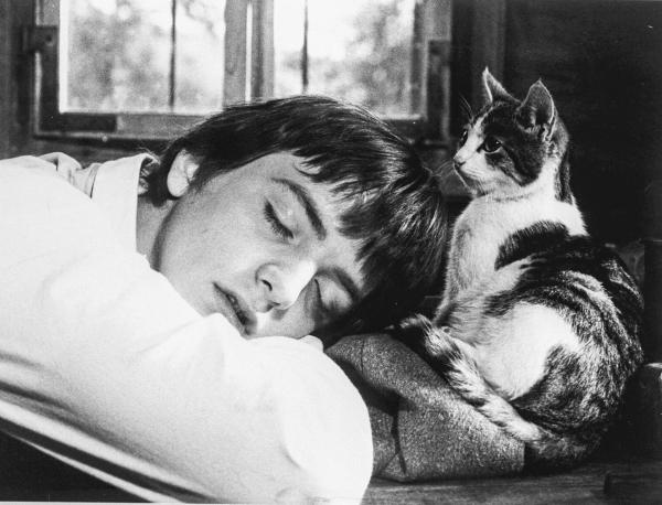 Bild 1 von 3: Im Bild: Chlodwig Haslebner (Peter).