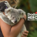 Dodo Heroes - Aus Liebe zu Tieren