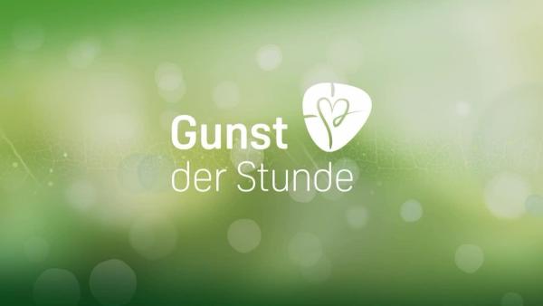Bild 1 von 1: .