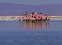 Wildes Lateinamerika