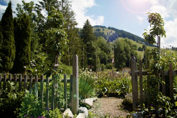 Bild 1 von 7: .