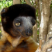 Madagaskar - Naturparadies im Indischen Ozean
