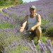 Kräuterwelten der Provence