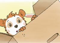 Die Sendung mit dem Elefanten