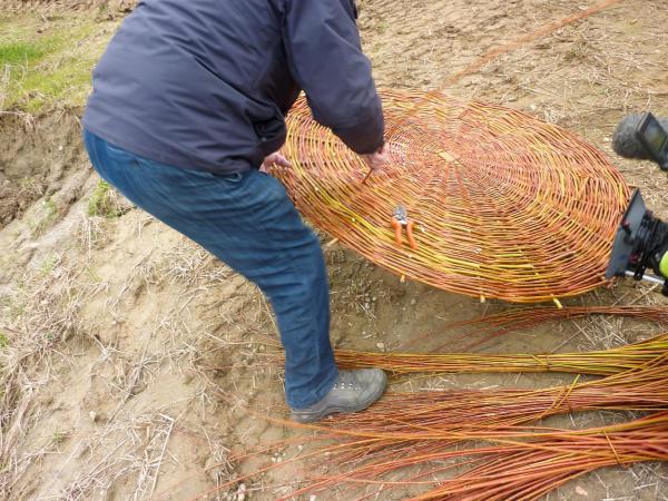 Bild 1 von 10: Im Bild: Korbmachen - Flechtkunst mit Weiden.