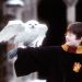 Harry Potter und der Stein der Weisen