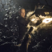 The Last Witch Hunter
