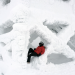 Alltagsflucht: Finnland - Lappland im Winter