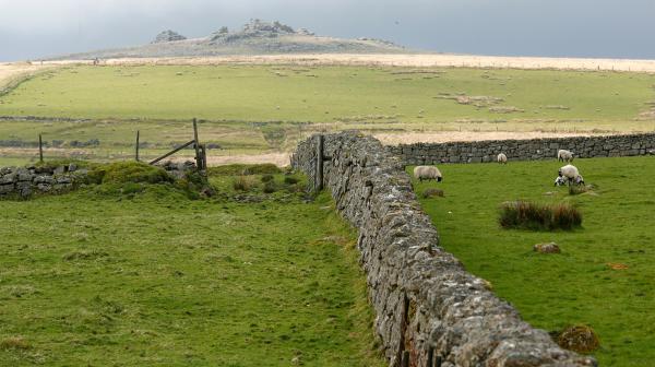 Bild 1 von 7: Mauer im Dartmoor. Hier trieb der legendäre Hund von Baskerville sein Unwesen.