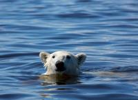 Sieben Kontinente - Ein Planet: Nordamerika