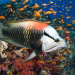 Tierische Perfektion - Wildes Wasser