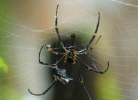 Hotspots der Tierwelt