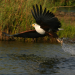 Abenteuer Wildnis