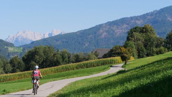 Bild 1 von 2: .