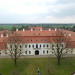 Von Rindern & Rennpferden