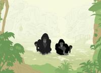 PEEKs ZOO - Von Affen, Giraffen & Co.