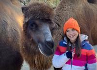 Anna und die Haustiere