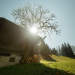 Höfe in Bayern