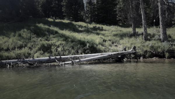 Bild 1 von 2: 1934 werden am Ufer des Eriesee bei Cleveland Leichenteile gefunden.