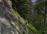 Die Alpenranger - Auf Patrouille im Paradies