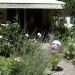 Wiesbadener Gartenfreuden