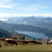 Landleben