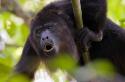 Unbekanntes Belize