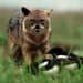Tierische Kämpfer