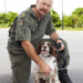 Hunde im Einsatz