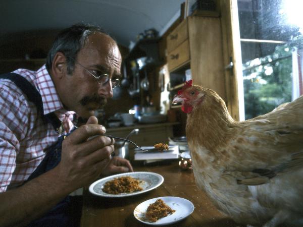 Bild 1 von 4: Peter hat bei einer Verlosung ein Huhn gewonnen. Was soll er mit dem Tier machen?